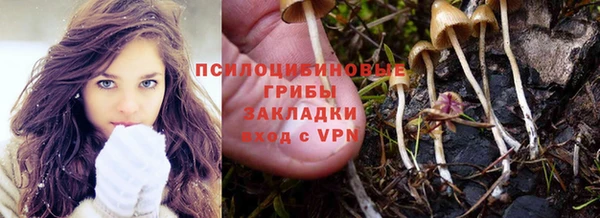 прущие грибы Абдулино