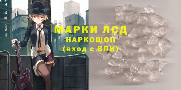 прущие грибы Абдулино