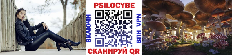 кракен зеркало Калининград Псилоцибиновые грибы Psilocybine cubensis
